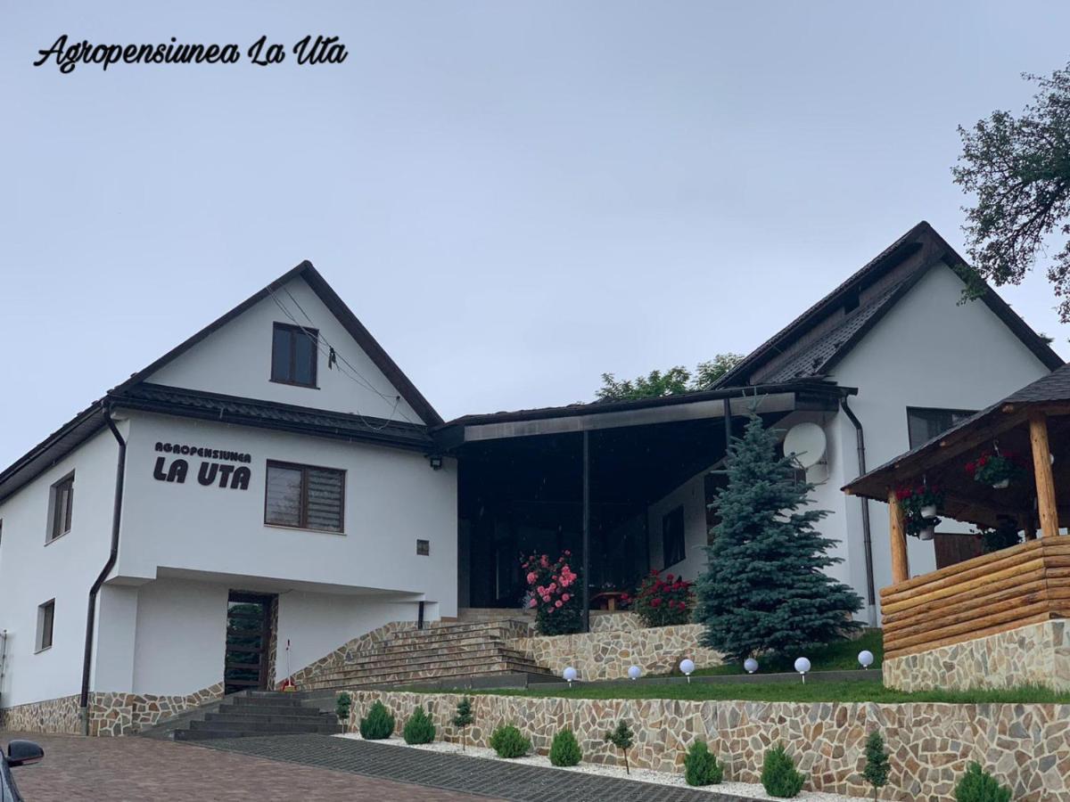 Agropensiunea La Uta Rebrisoara Luaran gambar