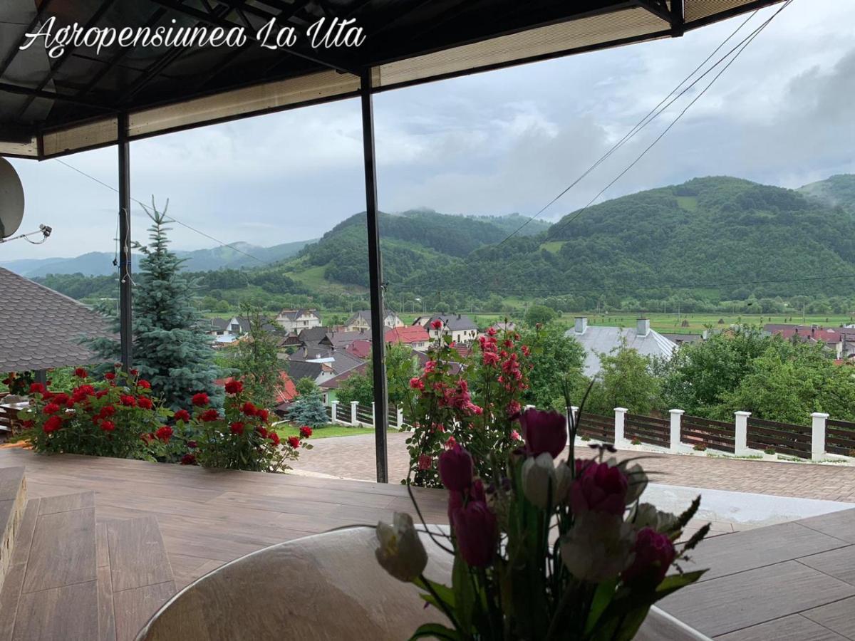 Agropensiunea La Uta Rebrisoara Luaran gambar